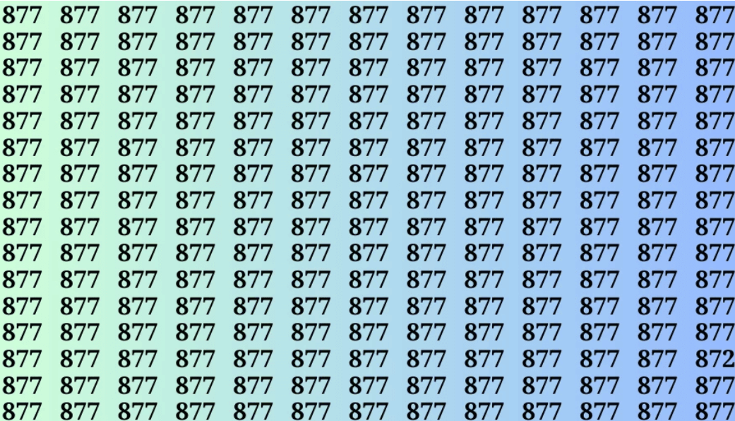 Trova il numero 872 in 15 secondi / Immagine da fresherslive.com